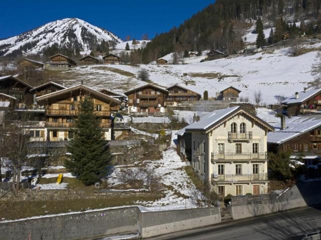 Einfamilienhaus kaufen in Ormont-Dessous, Waadt