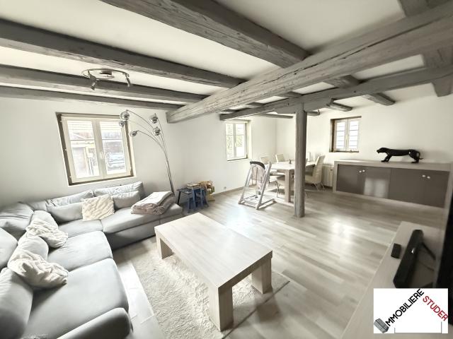 Maison vente à Haguenau-Wissembourg, Leutenheim
