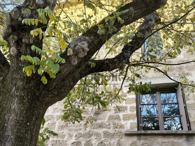 Maison vente à Nîmes, Saint-quentin-la-poterie