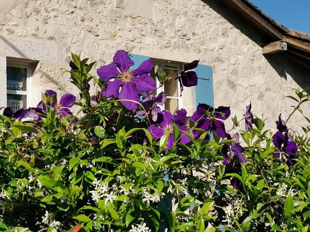 Maison vente à Nérac, Mézin