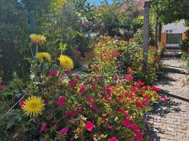 Maison vente à Villeneuve-sur-Lot, Sainte-livrade-sur-lot