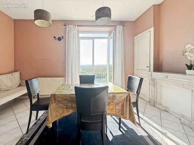 Maison vente à Lyon, Métropole de Lyon