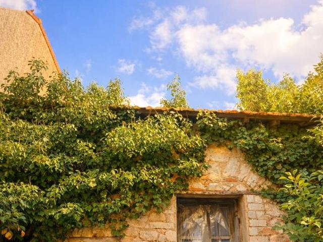 Maison vente à Montpellier, Bouzigues