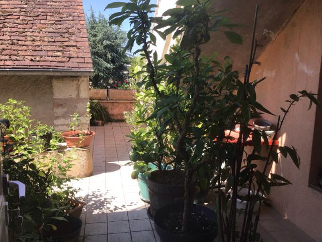 Maison vente à Sarlat-la-Canéda, Fossemagne