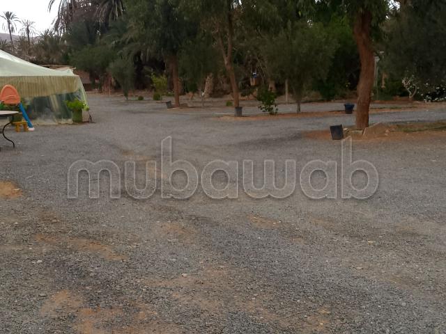 Local commercial location à Asrir