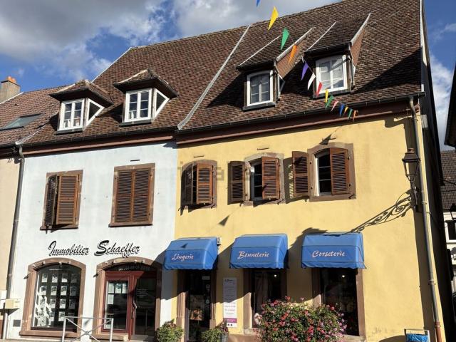Maison vente à Diemeringen, Collectivité européenne d'Alsace