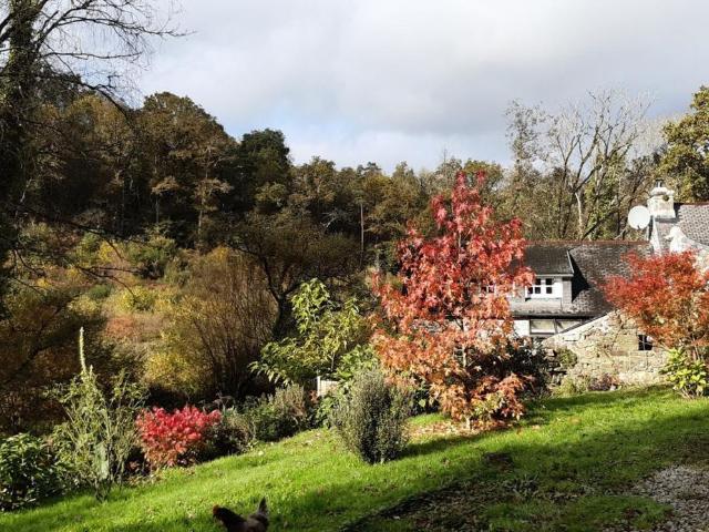 Maison vente à Résidence Ty Jakès, Dinéault