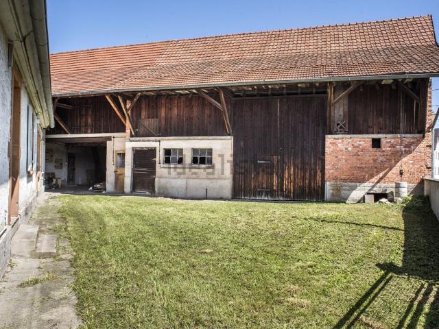 Maison vente à Drusenheim, Collectivité européenne d'Alsace