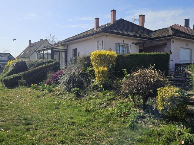 Maison vente à Drusenheim, Collectivité européenne d'Alsace