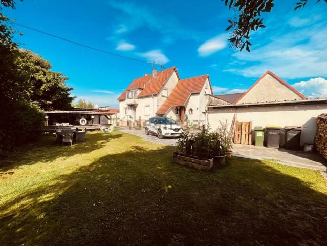 Maison vente à Drusenheim, Collectivité européenne d'Alsace