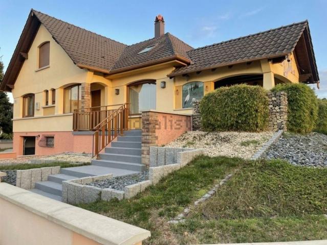 Maison vente à Drusenheim, Collectivité européenne d'Alsace