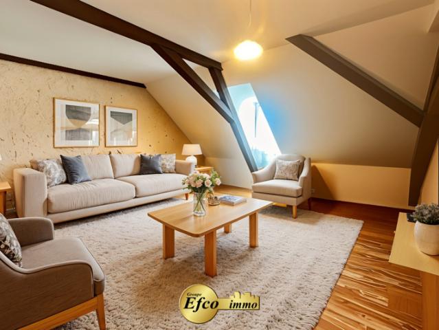 Maison vente à Mulhouse, Huningue