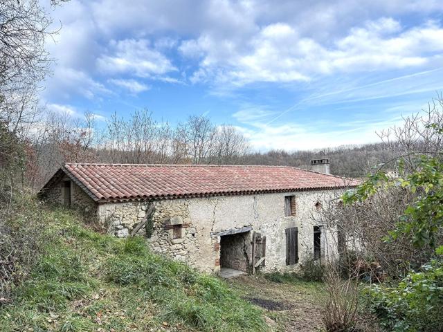 Maison vente à Villeneuve-sur-Lot, Saint-sylvestre-sur-lot