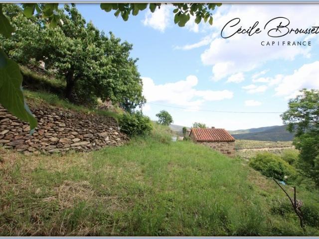 Maison vente à Céret, Taulis