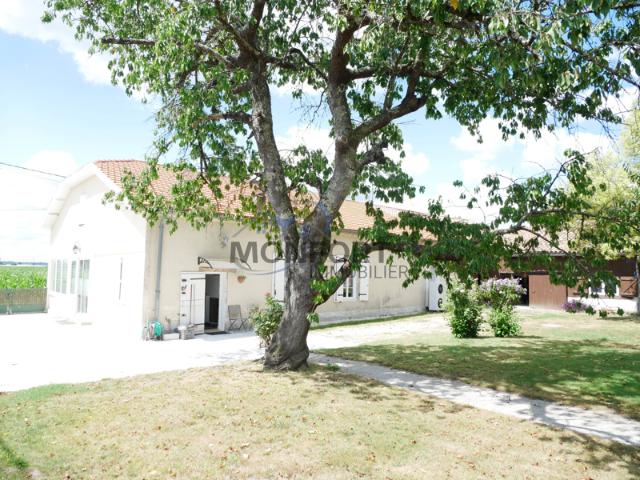 Maison vente à Lagruère