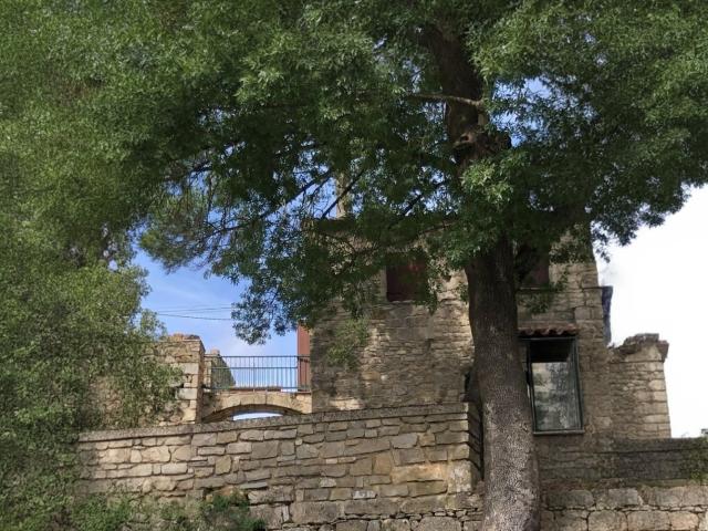 Maison vente à Lodève