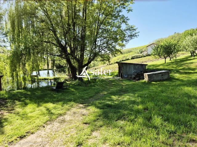 Maison vente à Villefranche-sur-Saône, Rhône