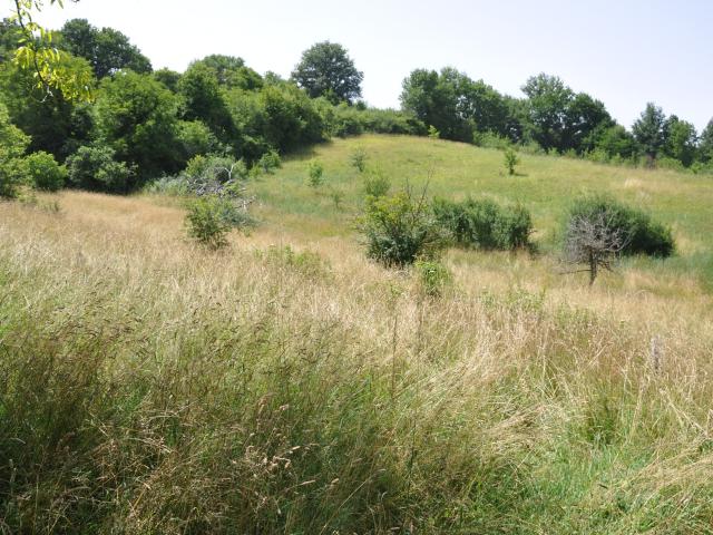Maison vente à Aurignac, Haute-Garonne