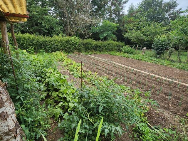 Maison vente à France métropolitaine, Sarthe