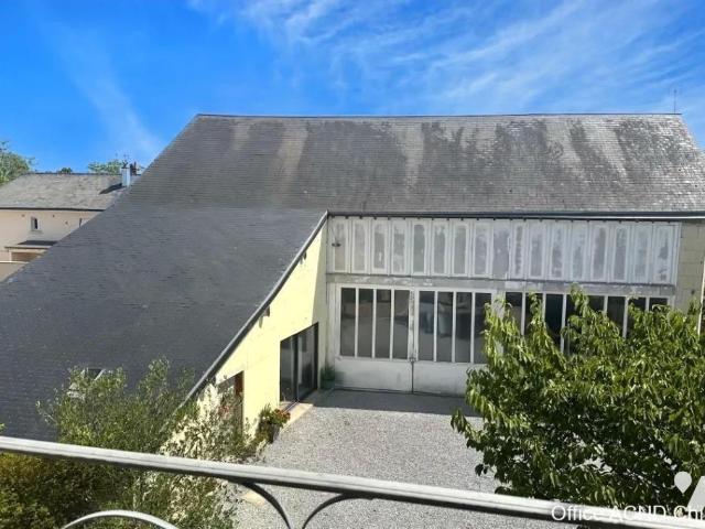 Maison vente à Chinon, Avoine