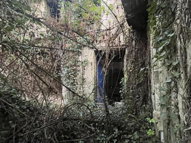 Maison vente à Chinon, Brizay