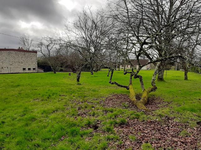 Maison vente à Le Blanc, La Châtre-langlin