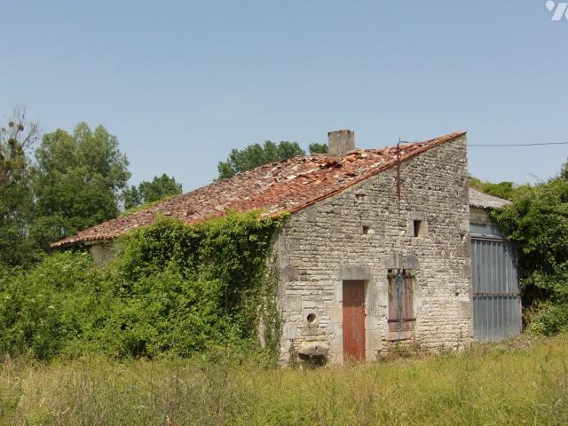 Maison vente à Saint-Jean-d'Angély, Chives