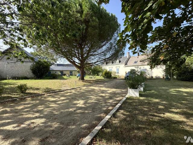 Maison vente à Chinon, Chouzé-sur-loire