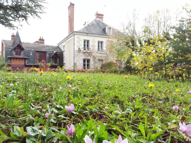 Maison vente à Blois, Cour-cheverny