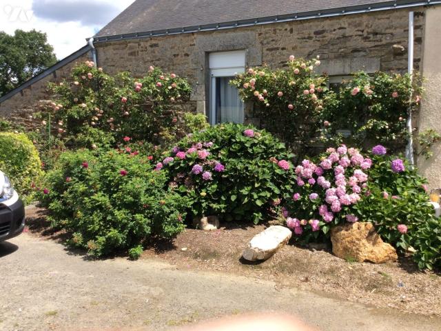 Maison vente à Vannes, Bretagne