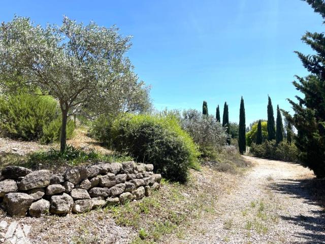 Maison vente à Arles, Fontvieille