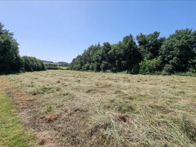 Maison vente à Guingamp, Bretagne