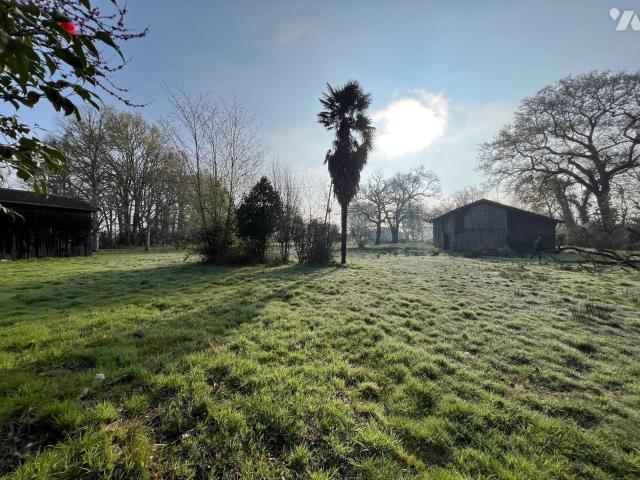 Maison vente à Mont-de-Marsan, Losse