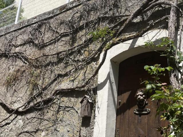 Maison vente à Tours, Luynes