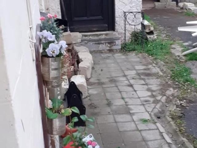 Maison vente à Valenciennes, Mastaing