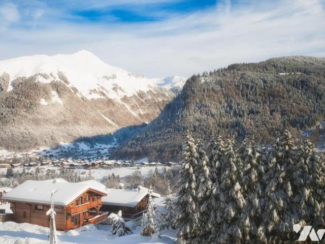 Maison vente à Thonon-les-Bains, Morzine