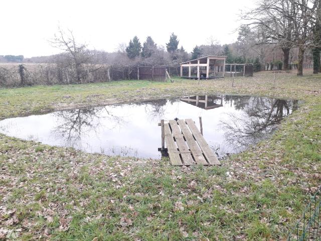 Maison vente à Romorantin-Lanthenay, Mur-de-sologne