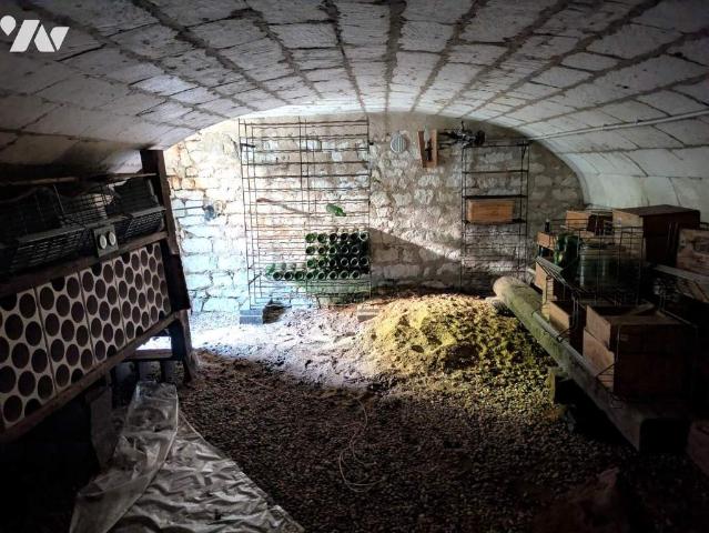 Maison vente à Chinon, Nouâtre