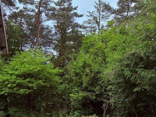 Maison vente à France métropolitaine, Oyonnax