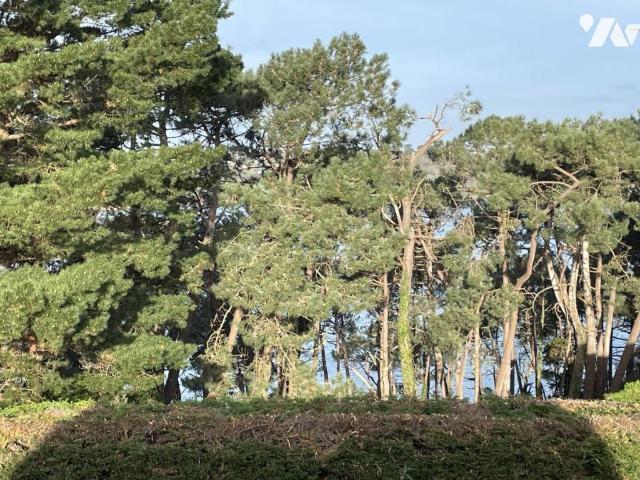 Maison vente à France métropolitaine, Bretagne