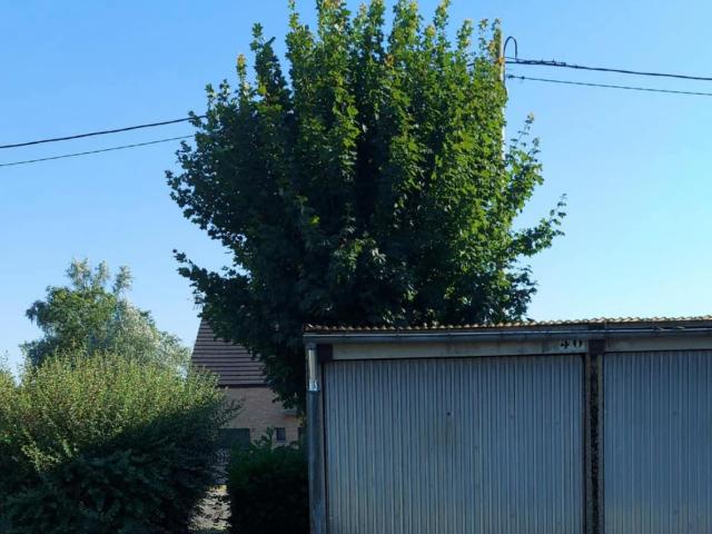 Maison vente à Pont-sur-Sambre, Nord