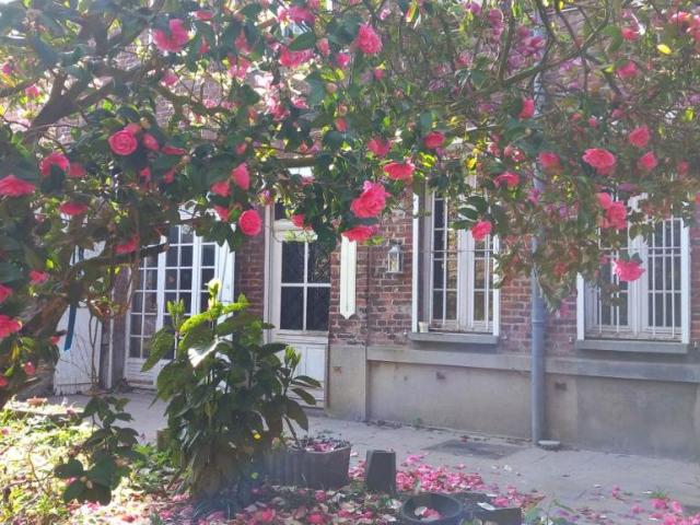 Maison vente à Valenciennes, Préseau