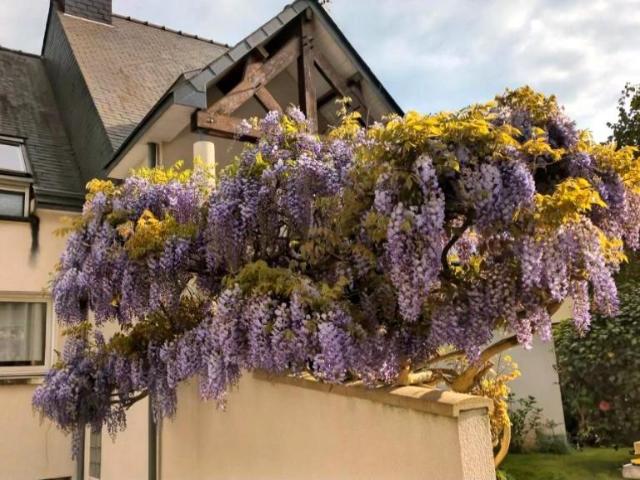 Maison vente à Rennes, Bretagne