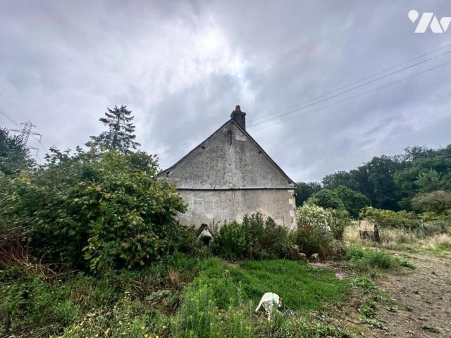 Maison vente à Tours, Rivarennes