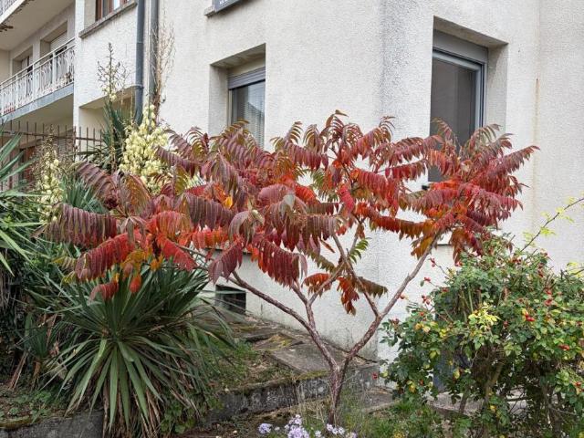 Maison vente à Saint-Max, Meurthe-et-Moselle