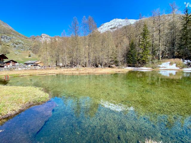 Maison vente à Albertville, Sainte-foy-tarentaise