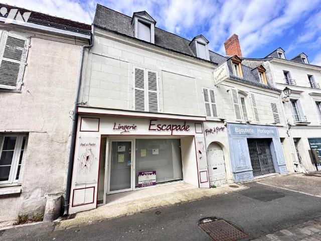 Maison vente à Chinon, Sainte-maure-de-touraine
