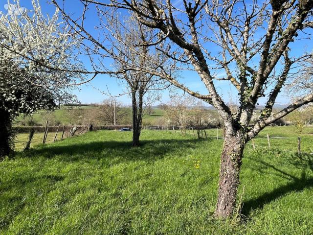 Maison vente à Avallon, Sauvigny-le-beuréal
