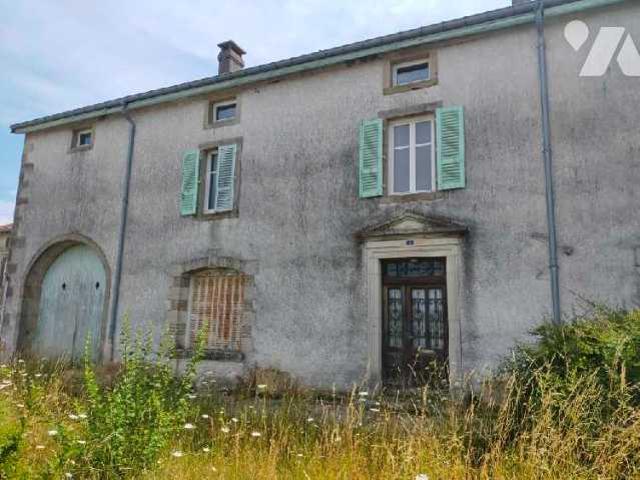 Maison vente à Neufchâteau, Sauville