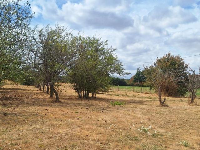 Maison vente à Mamers, Savigné-l'evêque
